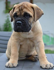 By Helena Hybnerova* Legendary Hills (Own work) [CC BY-SA 3.0 (http://creativecommons.org/licenses/by-sa/3.0)], via Wikimedia Commons