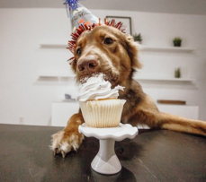 Image par annmariephotography de Pixabay