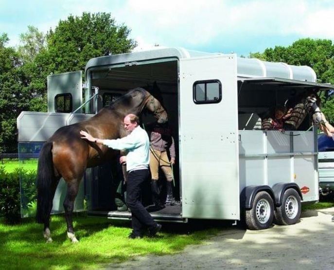 By Boeckmann_horseexperts (Boeckmann_horseexperts) [CC BY-SA 3.0 (http://creativecommons.org/licenses/by-sa/3.0)], via Wikimedia Commons